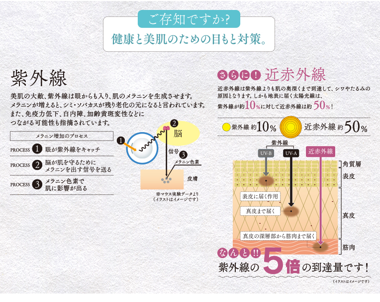 ご存じですか？健康と美肌のための目もと対策。